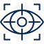 vision